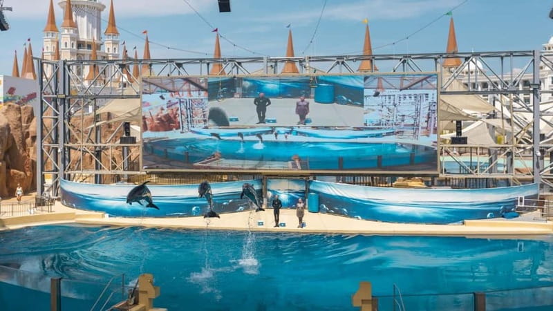 Alanya, Side To Land of Legends Theme Park Ticket & Transfer - Dolphin, Beluga, and Sea Lion Shows Plus 5D Cinema