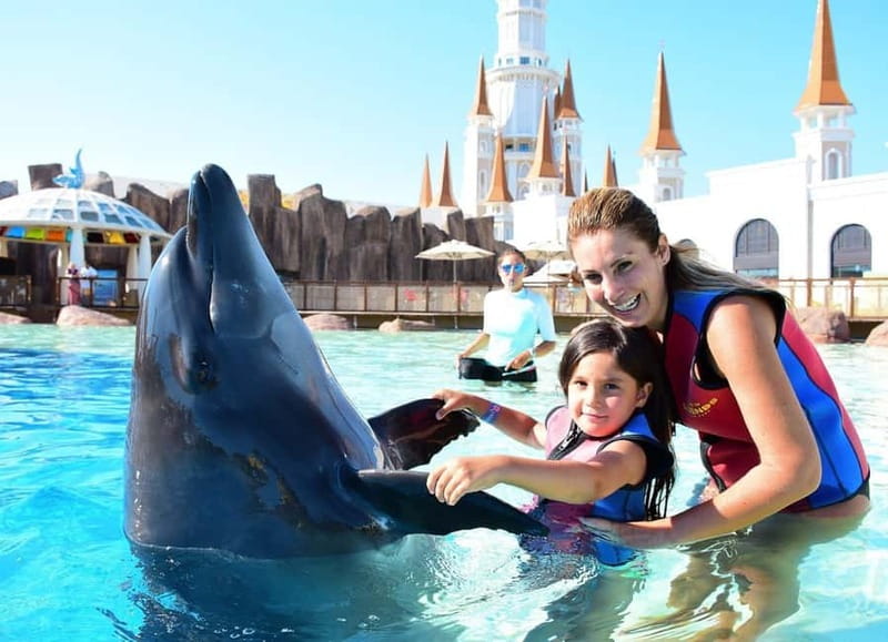 Alanya, Side To Land of Legends Theme Park Ticket & Transfer - Hotel Pickup and Shared Transfers: How to Time Your Day
