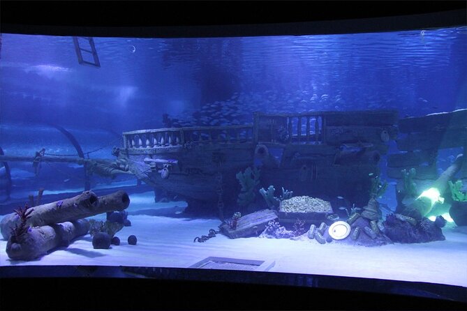 Alexander Waterfall and Antalya Aquarium Day Tour from Side - Side to Antalya Aquarium: How the Day Gets You Moving
