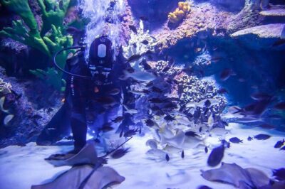 Alexander Waterfall and Antalya Aquarium Day Tour from Side - Alexander Waterfall Stop: 30 Minutes and How to Make It Worthwhile