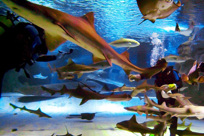 Alexander Waterfall and Antalya Aquarium Day Tour from Side - Practical Tips for a Smoother Day
