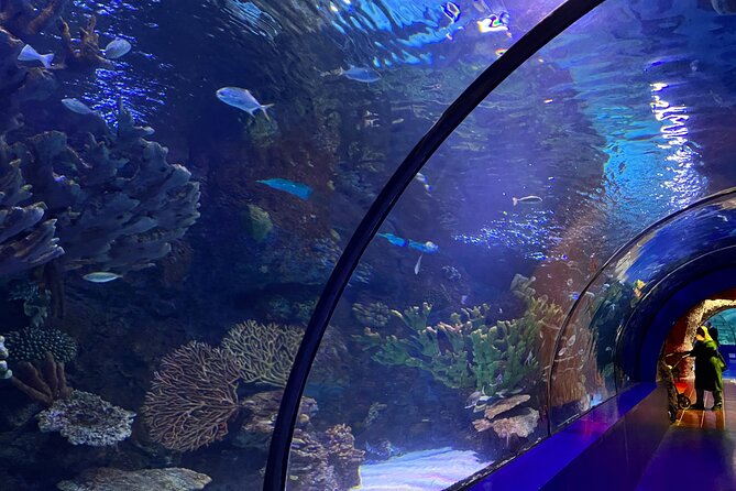Antalya Aquarium and Face to Face Wax Museum Private Transfer - Practical tips for a smoother visit