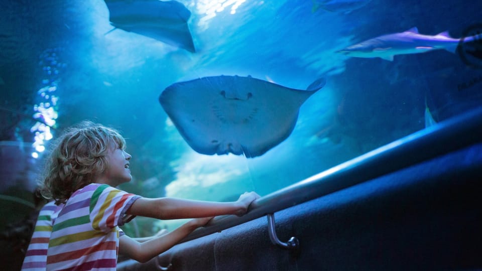 Antalya: Aquarium and Wax Museum Entry Ticket - Themed Underwater Scenes: Atlantis, Shipwrecks, and a Sunken Airplane