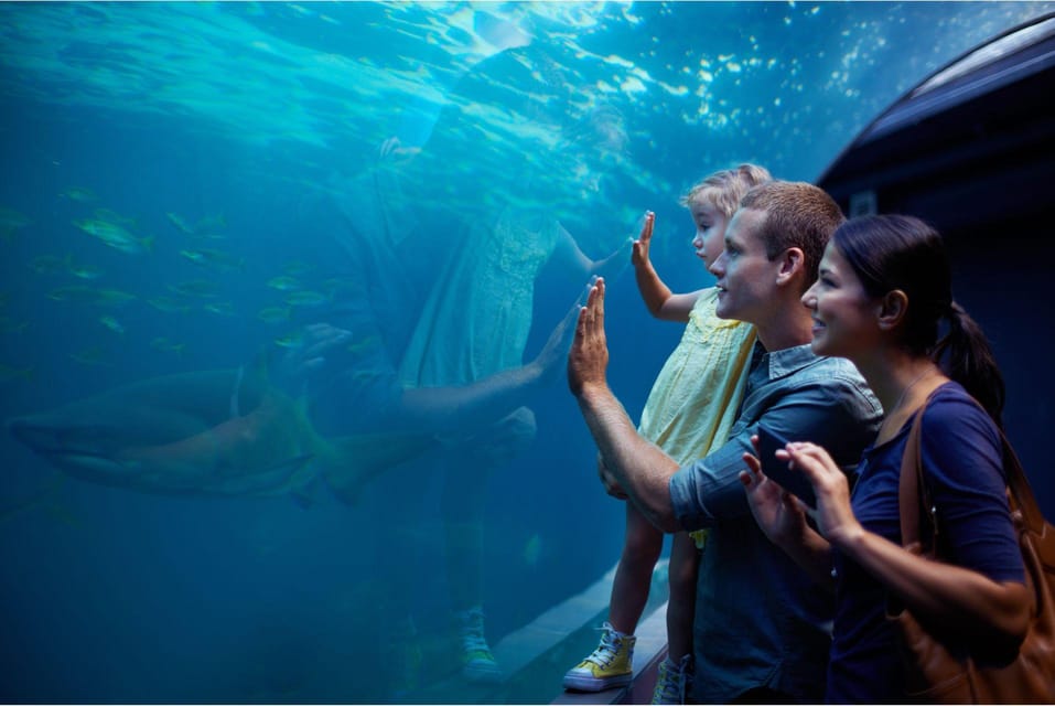 Antalya: Aquarium and Wax Museum Entry Ticket - The 5-Million-Liter Sea Tunnel: Your First Big Moment