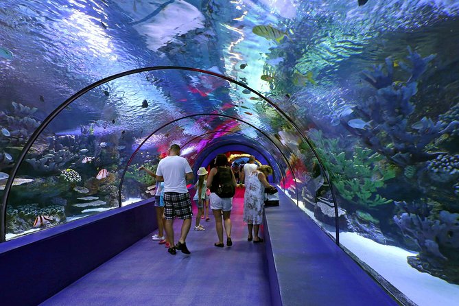 Antalya: Aquarium Ticket With Optional Transfer - Antalya Aquarium + Wax Museum: why this combo works