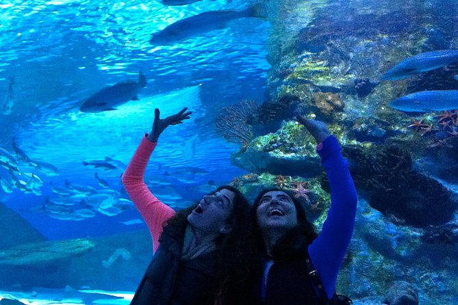 Antalya: Aquarium Ticket With Optional Transfer - Getting there without stress: pickup zones and meeting point clarity