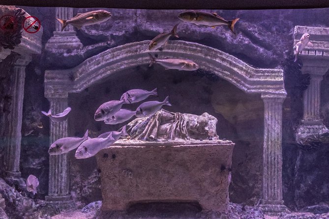 Antalya: Aquarium Ticket With Optional Transfer - Inside Antalya Aquarium: what your ~3 hours should feel like