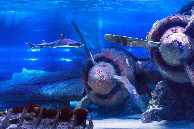 Antalya: Aquarium Ticket With Optional Transfer - Face2Face Wax Museum: a smart break from the aquarium mood
