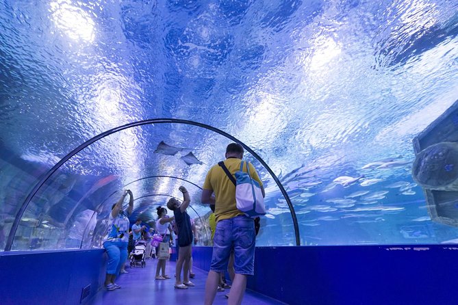 Antalya: Aquarium Ticket With Optional Transfer - Optional transfer: when it’s worth it and when it’s not