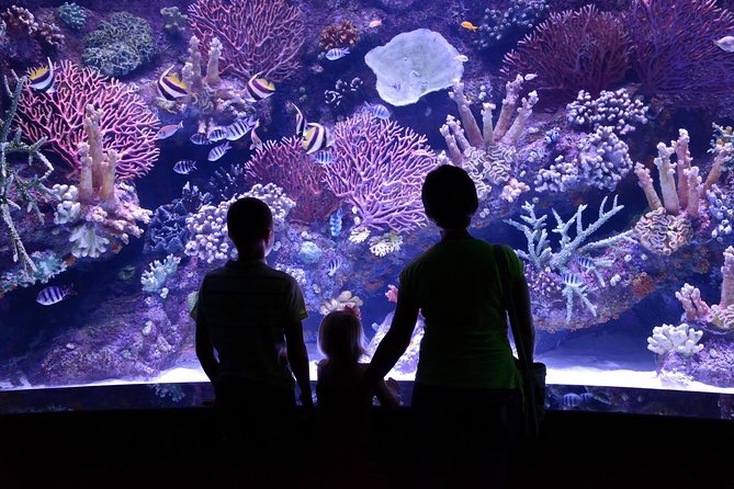 Antalya: Aquarium Ticket With Optional Transfer - Price and what you’re actually buying for $48.06