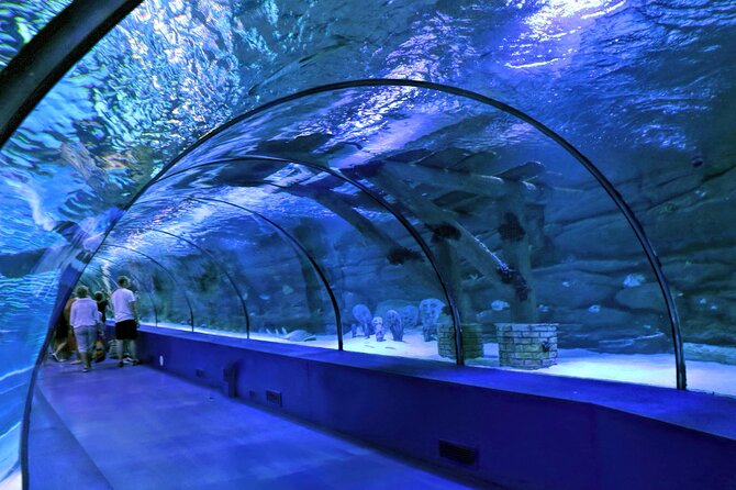 Antalya: Aquarium, Wax Museum & Combo Package Options - Antalya Aquarium and Wax Museum: Why this combo makes sense