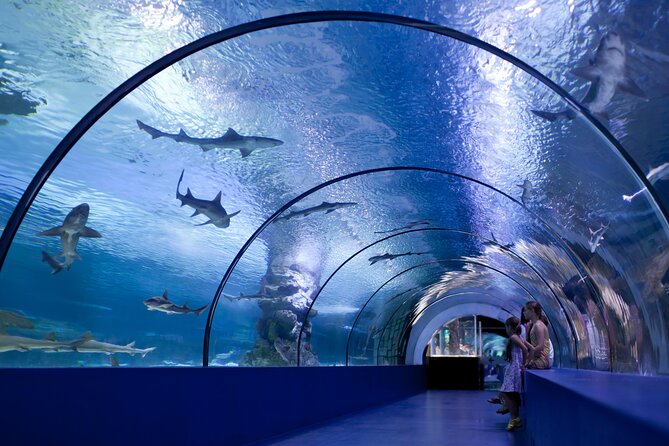 Antalya: Aquarium, Wax Museum & Combo Package Options - Optional upgrades: Snow World, Ice Museum, Tropical House, and Oceanride XD Cinema