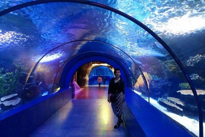 Antalya: Aquarium, Wax Museum & Combo Package Options - Price and value: what $54.06 buys you in real life