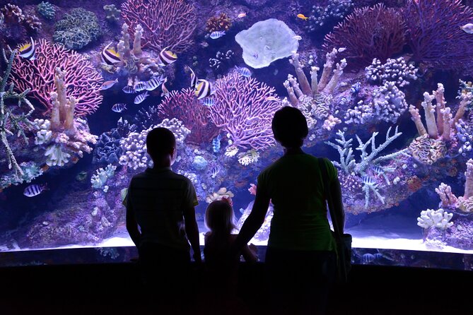 Antalya: Aquarium, Wax Museum & Combo Package Options - Inside Antalya Aquarium: more than just fish tanks