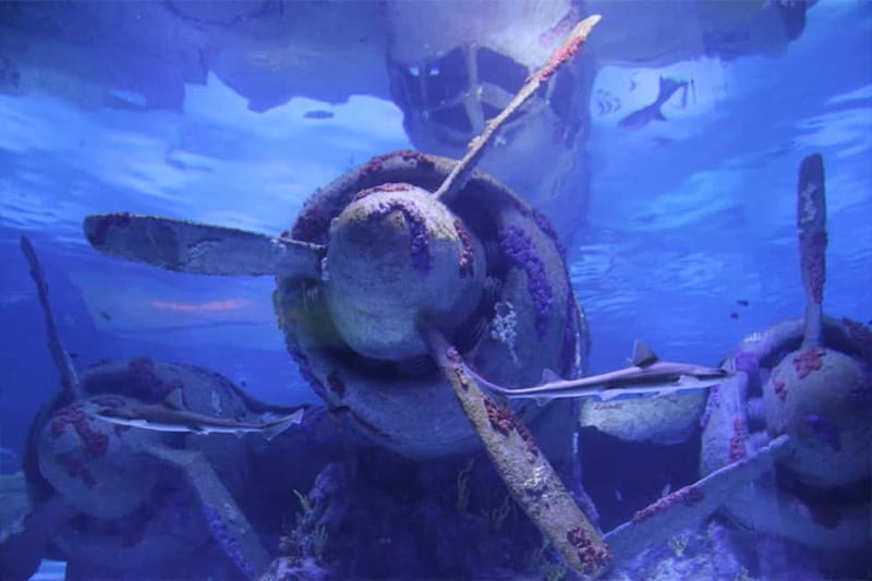 Antalya: Aquarium, Wax Museum, Snow World, Wild Park - Snow World and the Ice Museum: real-snow fun in a warm climate