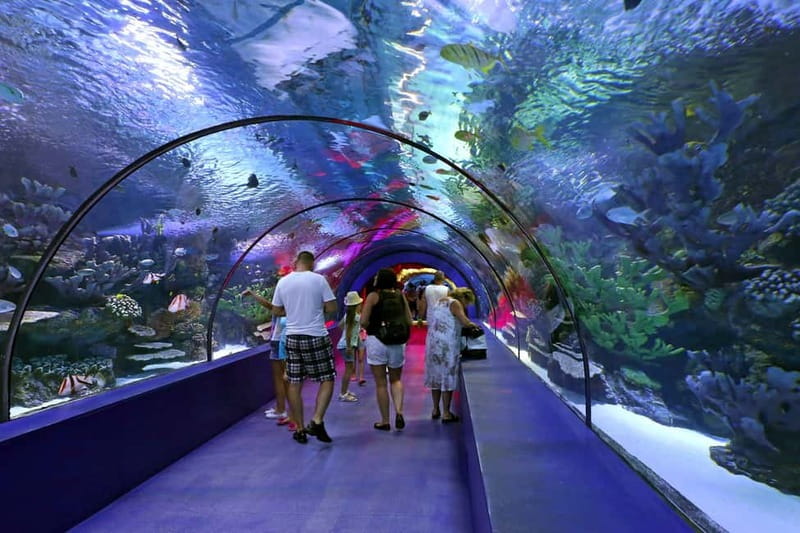 Antalya: Aquarium, Wax Museum, Snow World, Wild Park - Time management: how to plan the full day without rushing