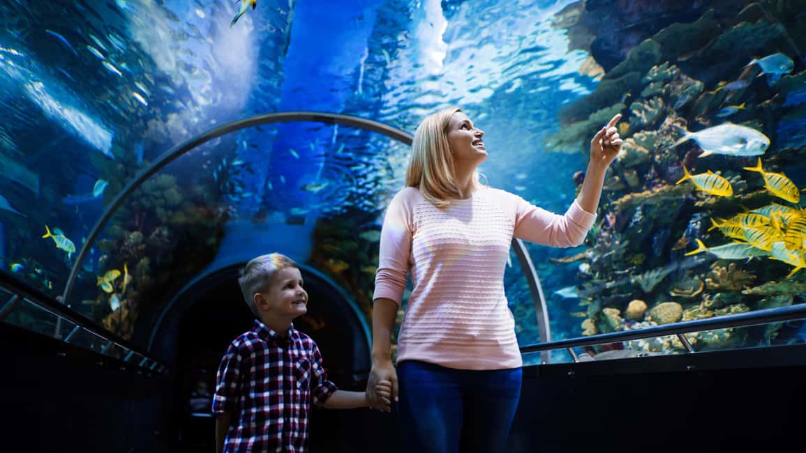 Antalya: Aquarium, Wax Museum, Snow World, Wild Park - River life and ocean life: Nile, Amazon, and the Red Sea set