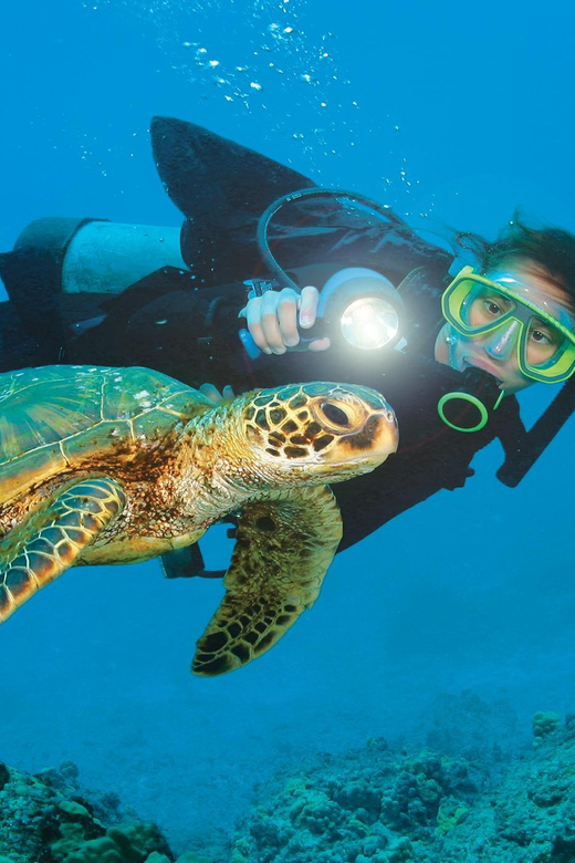 Antalya/ Belek Scuba Diving Tour With 2 Time Dive & Lunch - Key highlights at a glance