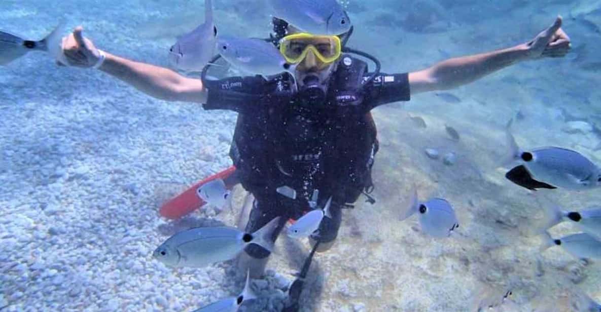Antalya/ Belek Scuba Diving Tour With 2 Time Dive & Lunch - Why Antalya and Belek work so well for your first (and second) underwater session