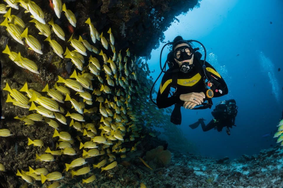 Antalya/ Belek Scuba Diving Tour With 2 Time Dive & Lunch - Session one: the calm intro at 3–5 meters