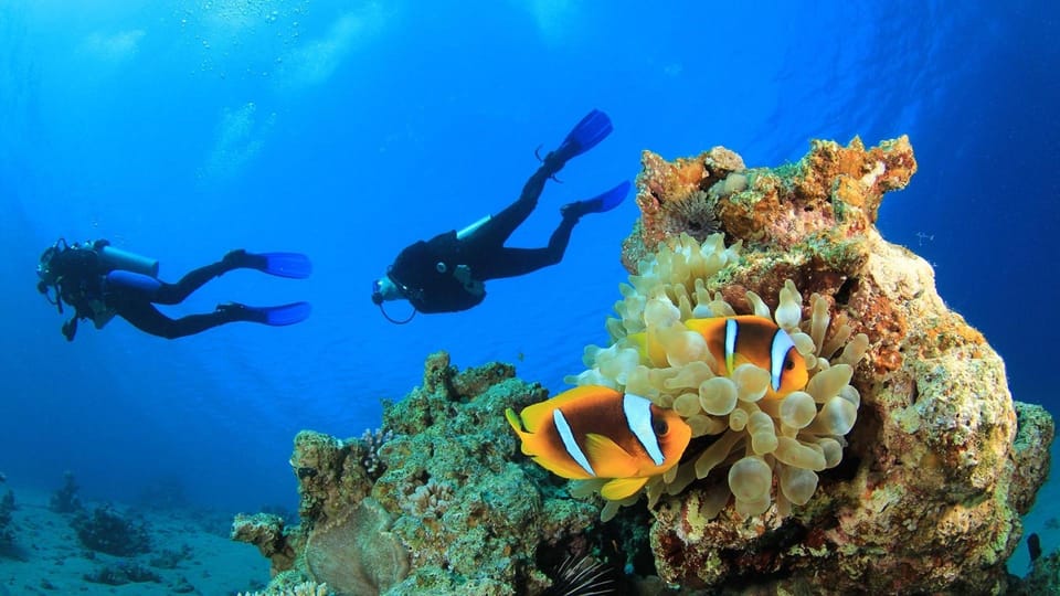 Antalya/ Belek Scuba Diving Tour With 2 Time Dive & Lunch - Session two: the deeper 10–15 meter experience