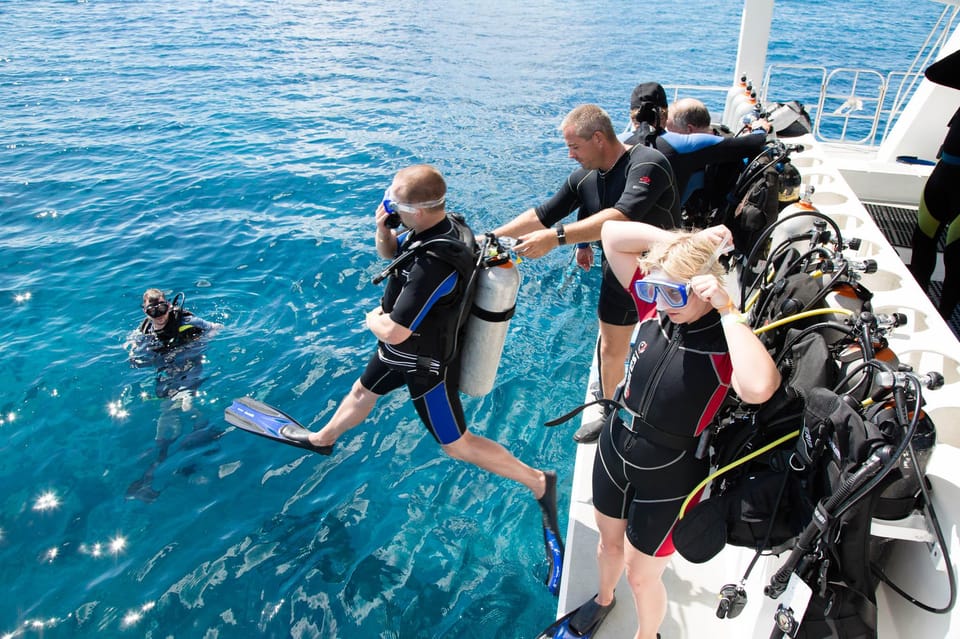 Antalya/ Belek Scuba Diving Tour With 2 Time Dive & Lunch - What you actually get included (and what you’ll need to pay yourself)