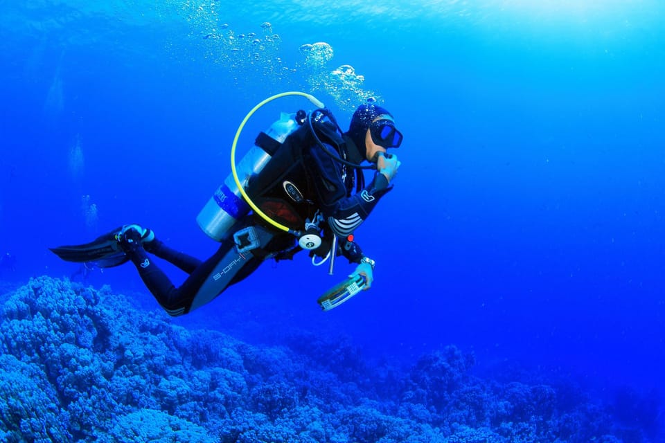 Antalya/ Belek Scuba Diving Tour With 2 Time Dive & Lunch - Guides and languages: German, English, Russian support