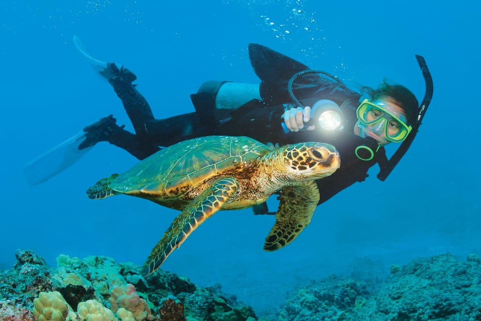 Antalya/ Belek Scuba Diving Tour With 2 Time Dive & Lunch - Lunch on the water: simple, included, and time-smart