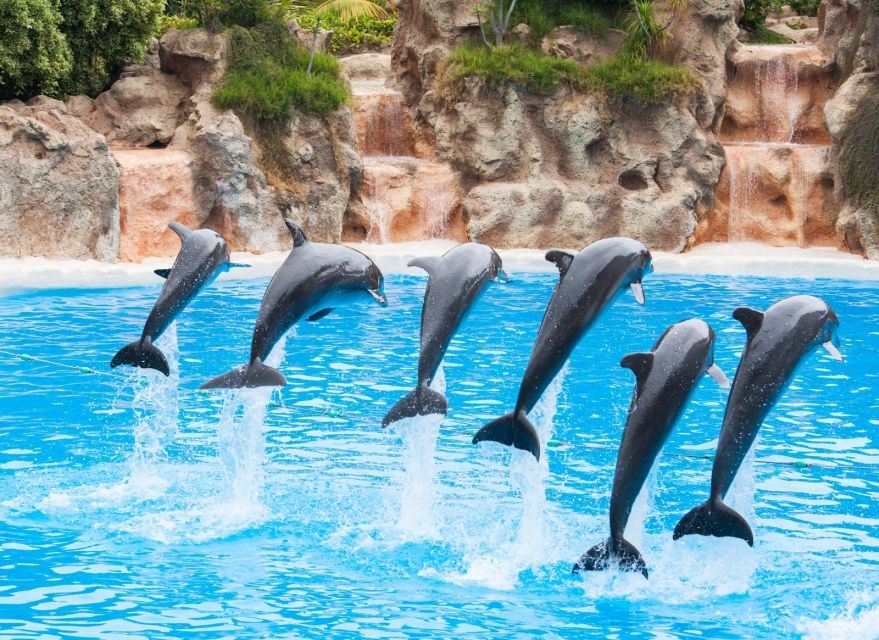 Antalya/Belek: The Land of Legends Theme Park with Transfer - Unlimited rides, but plan your route like a pro