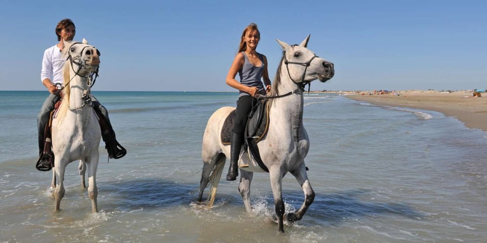 Antalya: Guided ATV and Horse Riding Safari in Lara - How to judge quality quickly before you ride