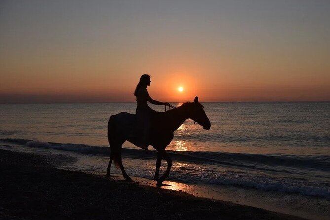 Antalya Horse Riding On Beach And Through The Forests For 2 Hours - Key things I’d focus on before you book