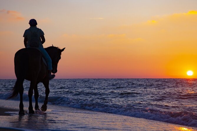 Antalya Horse Riding On Beach And Through The Forests For 2 Hours - Lara Beach And Pine Forest: What You’re Actually Signing Up For