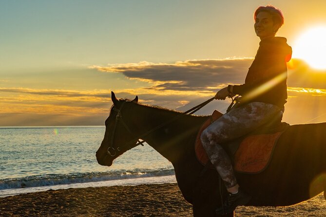 Antalya Horse Riding On Beach And Through The Forests For 2 Hours - Pickup, Meeting Point, And Getting There Without Stress