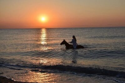 Antalya Horse Riding On Beach And Through The Forests For 2 Hours - Riding Time, Terrain, And Comfort Tips That Matter