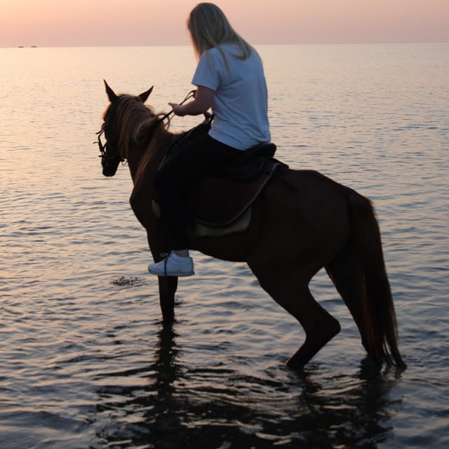 Antalya Horse Safari - Key points before you go