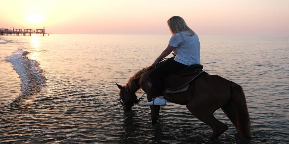 Antalya Horse Safari - Value for $47: When It Makes Sense (and when it doesn’t)
