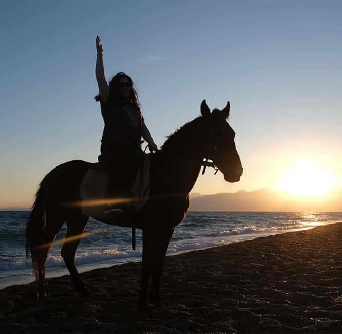 Antalya: Horseback Riding on the Beach and in the Forest - What Happens on the Horse: Forest First, Beach Next