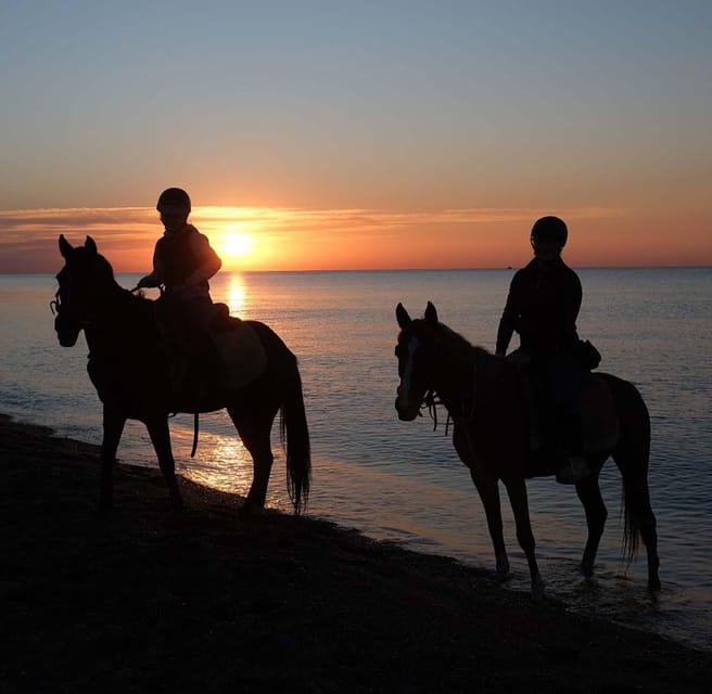Antalya: Horseback Riding on the Beach and in the Forest - Price and Value: Is $65 Worth It in Antalya?