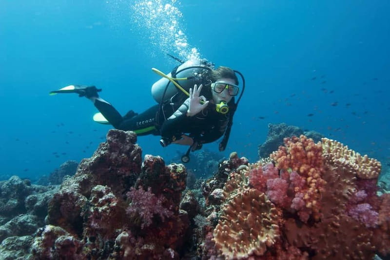 Antalya/Kemer: 2 Dives Scuba Diving Trip with Lunch - Ay ışığı plaj: the second session and why it often feels better