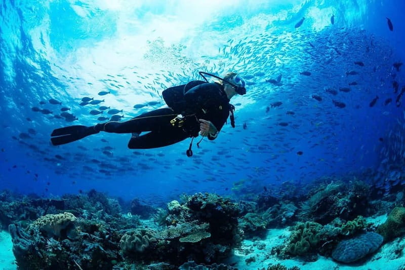 Antalya/Kemer: 2 Dives Scuba Diving Trip with Lunch - What to watch for: lunch quality, photo upsells, and where expectations matter