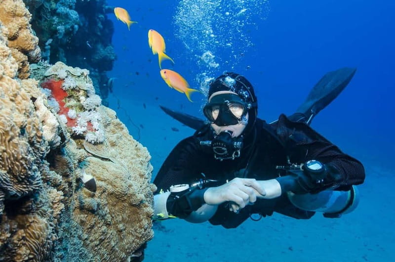 Antalya/Kemer: 2 Dives Scuba Diving Trip with Lunch - Getting to the boat: Kemer pickup, timing, and drop-offs