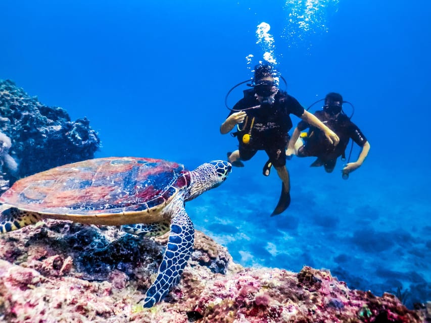 Antalya/ Kemer/ Belek Scuba Diving With Lunch & Transfer - Price and value: why $47 can make sense here