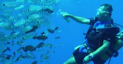Antalya/ Kemer/ Belek Scuba Diving With Lunch & Transfer - From hotel pickup to boat boarding: how the 8 hours feel