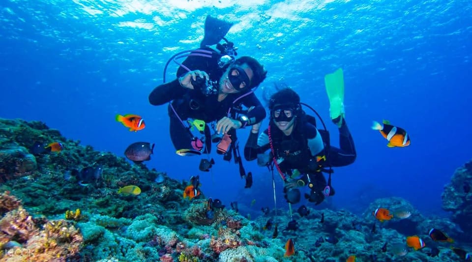 Antalya/ Kemer/ Belek Scuba Diving With Lunch & Transfer - Marine life chances: fish, underwater plants, and turtles