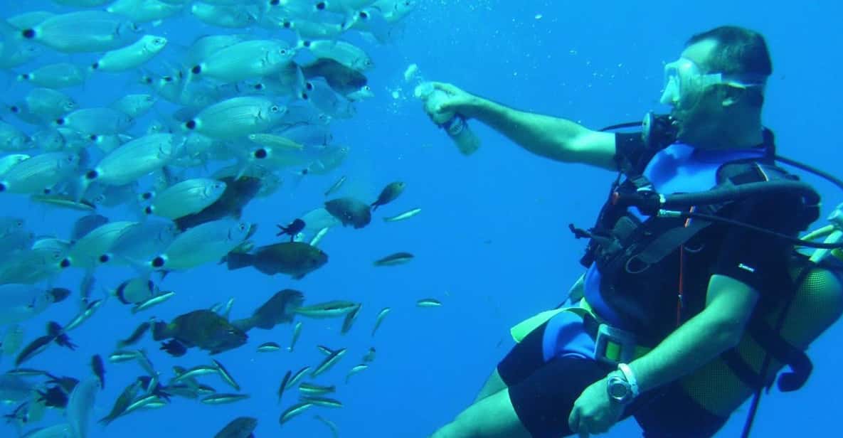 Antalya/ Kemer/ Belek Scuba Diving With Lunch & Transfer - From hotel pickup to boat boarding: how the 8 hours feel