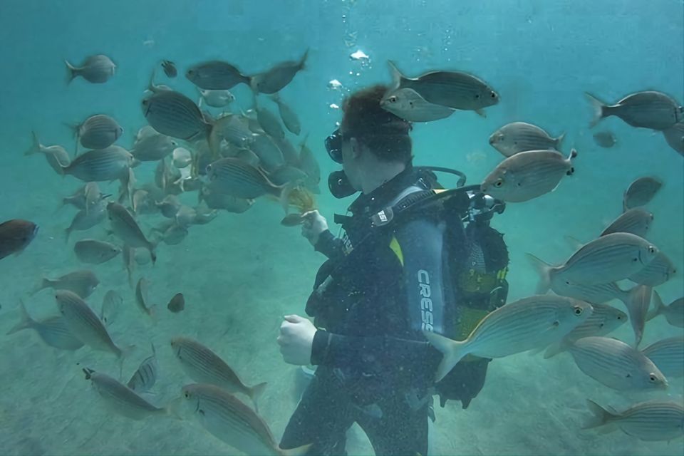 Antalya/Kemer: Scuba Diving Experience with Lunch & Pick up - Aquarium Bay and Kiris Bay from the boat: swim breaks and scenic pauses