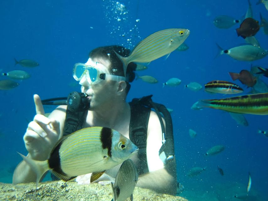 Antalya/Kemer: Scuba Diving Experience with Lunch & Pick up - Price and value: $29 includes a lot, but extras are real