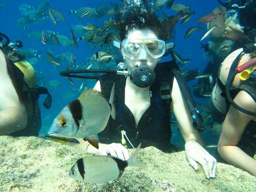 Antalya/Kemer: Scuba Diving Experience with Lunch & Pick up - A 7–8 hour boat day: what happens between check-in and drop-off
