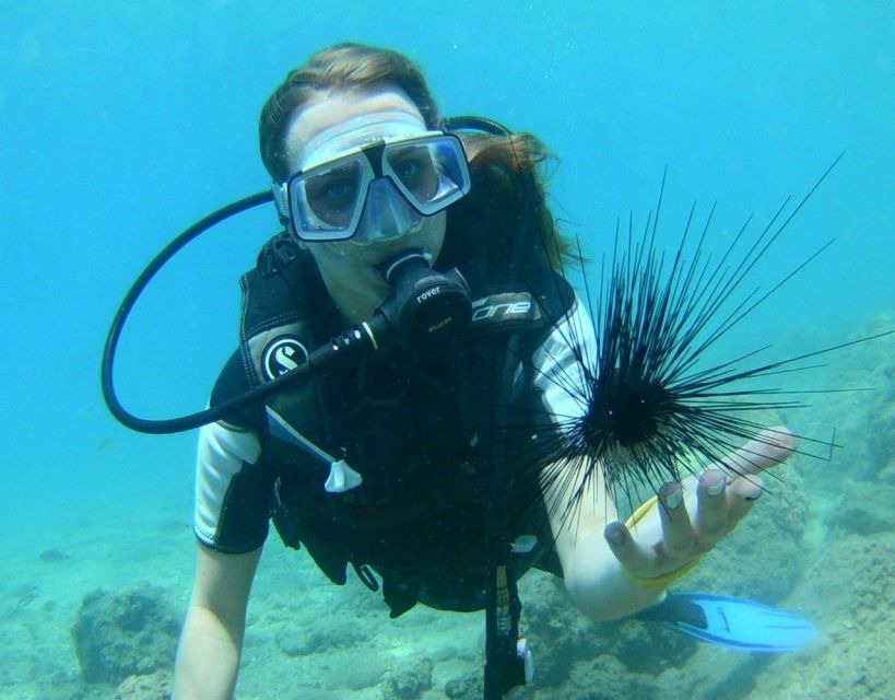 Antalya/Kemer: Scuba Diving with Pickup, Lunch, and 2 Dives - Lunch on the Boat: Useful Energy, Expect Plain Food