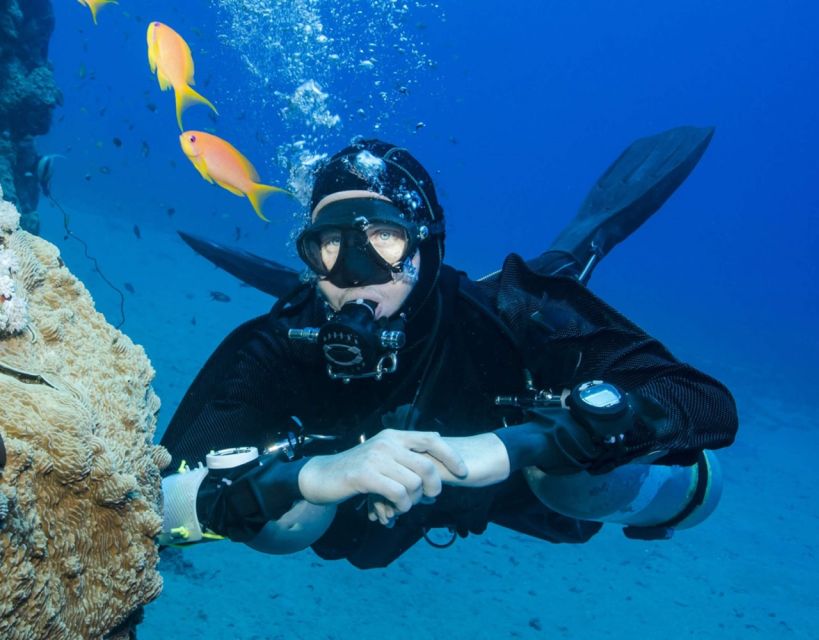 Antalya/Kemer: Scuba Diving with Pickup, Lunch, and 2 Dives - What’s Included (and Why That Matters for Value)